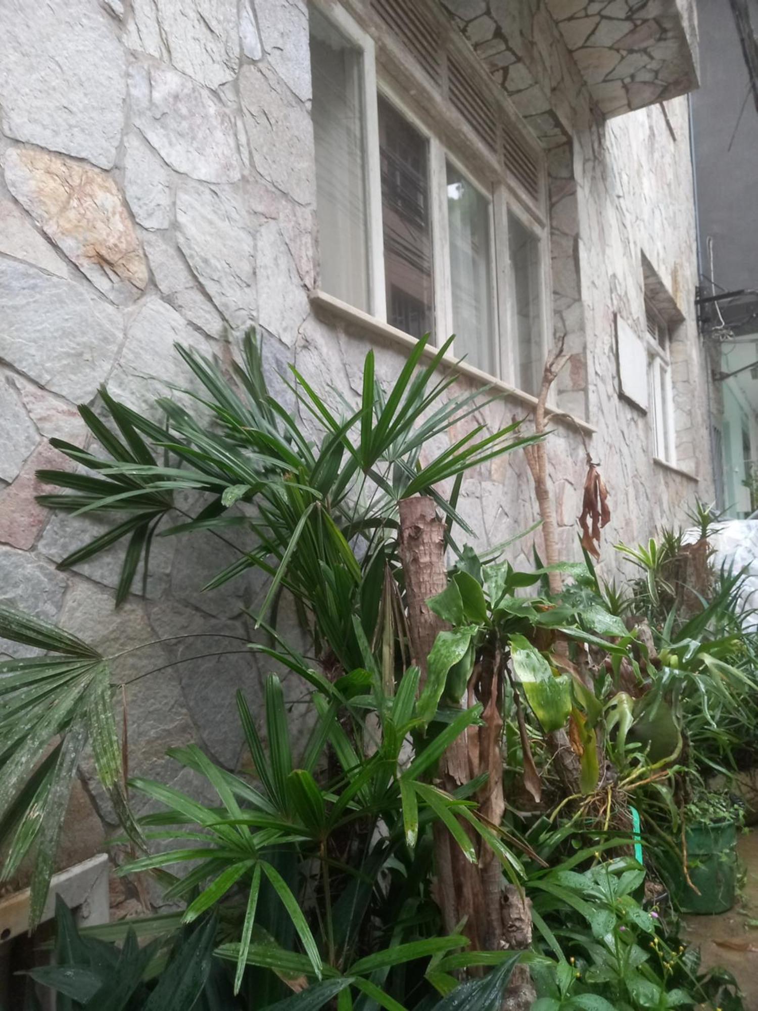 Vila Leme Casa 11, Rio de Janeiro
